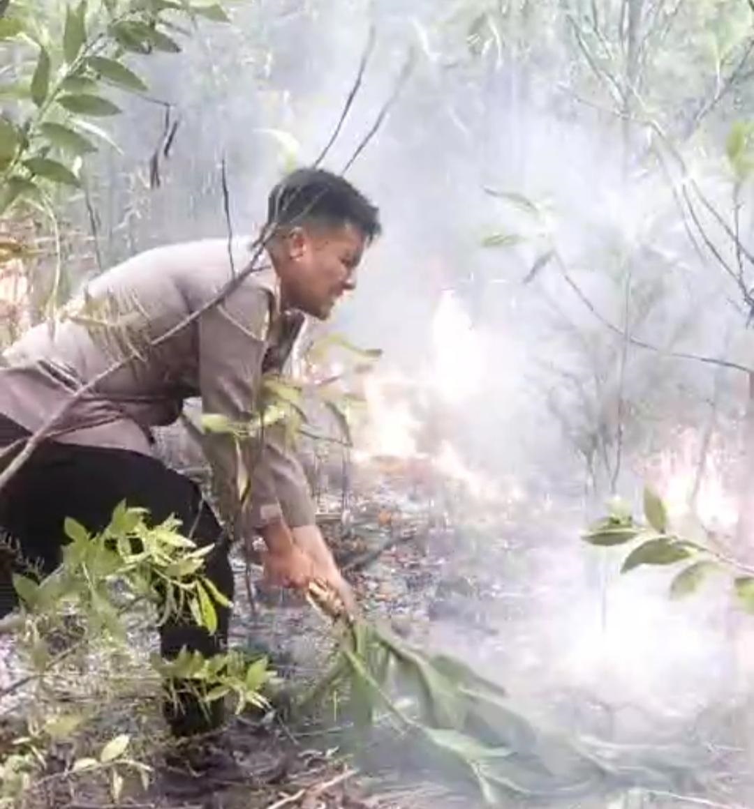 Gabungan Polsek dan BPBD Akhiri Perjuangan Padamkan Kobaran Api Di Lahan Tiga Hektar