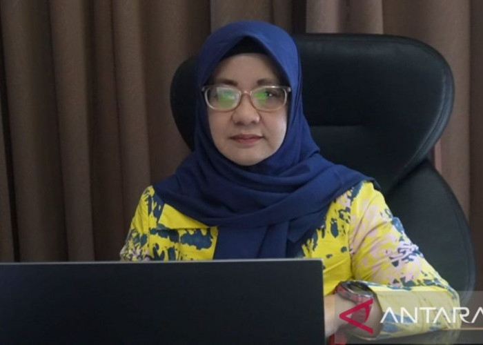Realisasi Penyaluran KUR Capai 29 Persen