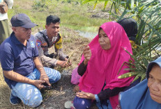 Petani di Kelapa Dinyatakan Hilang