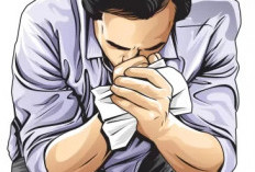 Kemenkeu dan BRIN akan Buka, Info Tes CPNS 2026? 