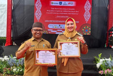 Pemkab Bangka Selatan Raih Penghargaan Gubernur