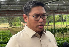 Kementerian Pertanian Ancam Cabut Izin Pabrik yang Beli TBS Sawit Murah