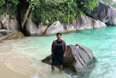 Akar yang Terlupakan