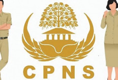 Ini 12 Kementerian Rilis CPNS 2024, Umumkan Formasi CPNS 