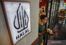 BPJPH Tekankan Perluasan Sertifikasi Halal UMK