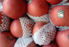 Makan Buah Apel, Baiknya Dikupas atau Makan Bersama Kulitnya