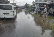 Tinjau Warga Terdampak Banjir Rob, Dewan Soroti Normalisasi Kanal & Restorasi Mangrove