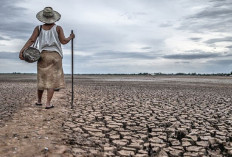 Babel Cerah Berawan, Dampak La Nina akan Terasa?