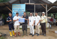 PT Timah Beri Bantuan Pengembangan Ternak Kambing