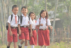175 Murid SD di Bangka Tengah Putus Sekolah