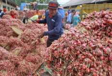 Nilai Tukar Petani Babel Naik 1,84 Persen