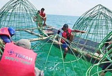 Inovasi Reklamasi Laut Pemkab Bangka Direplikasi Daerah Lain