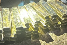 Pak Prabowo, Maaf, Penyelundupan Balok Timah Baru Jerat Supir? 