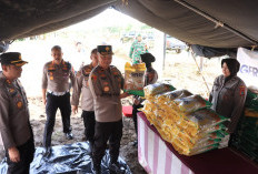 Tanam Jagung Kuartal IV Wujudkan Ketahanan Pangan