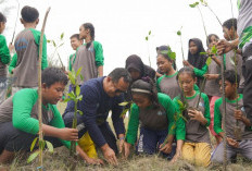 PT Timah Tbk Bersama Pelajar di Kabupaten Bangka Tanam 3000 Bibit Mangrove di Pantai Takari