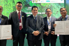 PLN Jaring 14 Kerja Sama Global dalam COP28