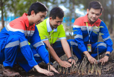 Pertamina Raih Penghargaan Indonesia Green Awards 2024