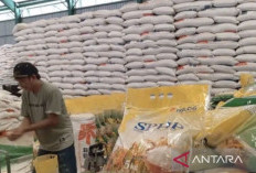 Pemerintah Jamin Stok Pangan Aman