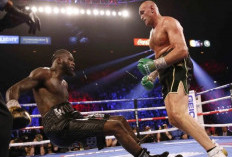  Jika Harus Kembali ke Ring Tinju
