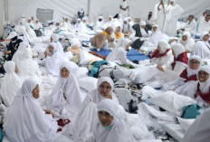  Inilah Jumlah Total Jemaah Indonesia: 202.551 Reguler, 16.596 Khusus, 2.098 Petugas 