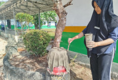 Siswa MTs Plus Bahrul Ulum Ciptakan Pot Estetik dari Pakaian Bekas & Semen
