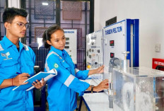 PLN dan Kemendiktisaintek Jalin Kerja Sama