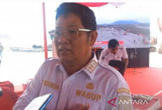 Wabup Efrianda Pastikan Pelayanan ASN Tetap Berjalan Jelang Tutup Tahun