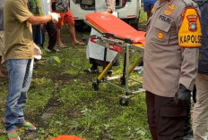  Misteri Mayat Terikat di Kebun Sawit? Masih Diusut Polres Babar