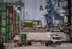 Barang Konsumsi Penyumbang Tertinggi Kenaikan Impor