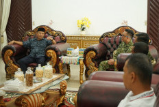 Perkuat Sinergitas TNI - Pemda, Dandim 0413/Bangka Audiensi ke Bupati