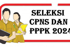 Seleksi CPNS 2024 dan PPPK, Peluang Pemilik 4 Skill 