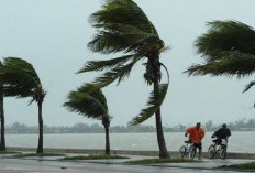 BPBD Babel: Waspada Angin Kencang