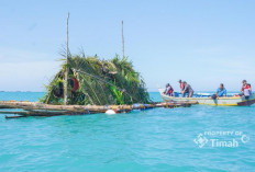 PT Timah Tenggelamkan 1.434 Rumpon