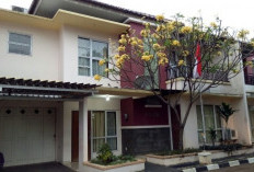 Mantap! Rumah Dinas Anggota DPR 2024-2029 Diganti Duit...