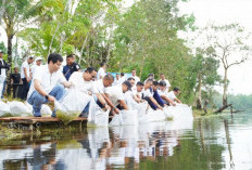 PT Timah Tebar 15.000 Bibit Ikan