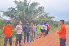 Nenek 75 Tahun Hilang di Perkebunan Dusun Cit