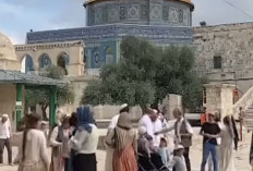 Al Aqsa Diterobos Pemukim Israel