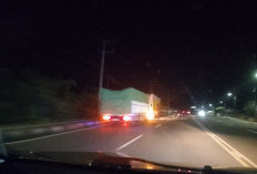 Katanya Muatan Sagu, Tapi Dua Truk Keluar dari Pelabuhan Sadai Dikawal