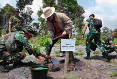 Hari Juang Kartika TNI AD, Tanam Pohon di Batu Beriga