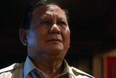 Banyak Kawasan Tambang Bermasalah, Prabowo: Cabut IUP-nya!
