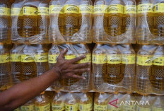 Babel Tambah Pasokan 325 Ton Minyak Goreng