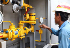 Rp 500 Triliun Devisa Negara Terbang ke LN