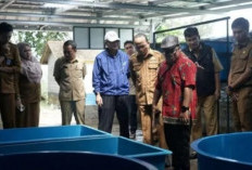 Bangka Tengah Pilot Proyek Pembenihan Kepiting Bakau