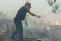 Awas Karhutla! Belitung Mulai Terjadi