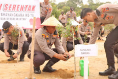 Polres Bangka Tanam 500 Pohon Kayu Putih