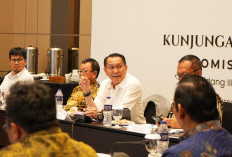 Komisi XII DPR RI Kunker ke Babel, Tinjau Kesiapan PLN