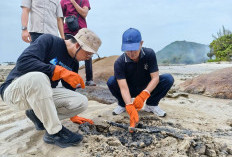 Kejari Bateng Bersih-bersih Pantai Tanjung Berikat