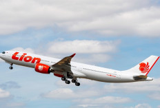Mau Umrah! Kini Lion Air Terbangan Non-Stop Palembang – Jeddah Mulai 10 Juli 2025