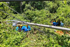 Cuaca Ekstrem Picu Tiang listrik Roboh, PLN Lakukan Pemulihan Cepat