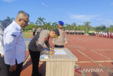 Program 